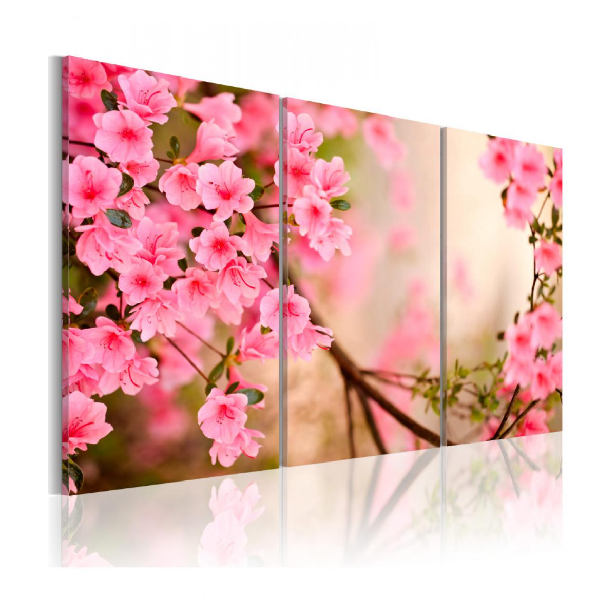 Artgeist - Tableau - Fleur de cerisier 90x60 - Tableaux, peintures