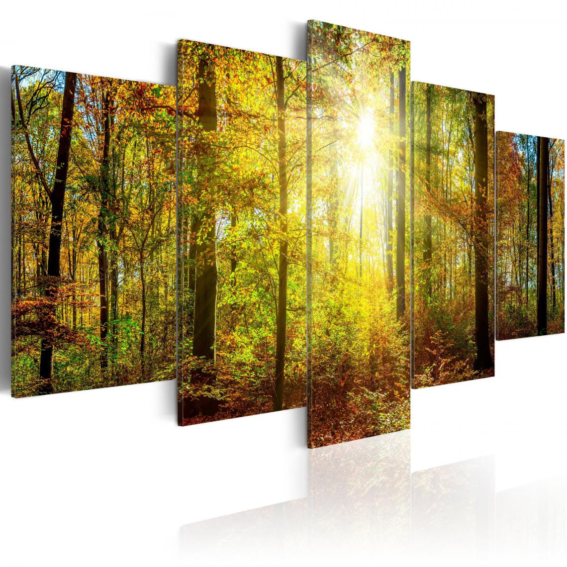 Decoshop26 - Tableau sur toile en 5 panneaux décoration murale image imprimée cadre en bois à suspendre Forêt mystique 200x100 cm 11_0006243 - Tableaux, peintures