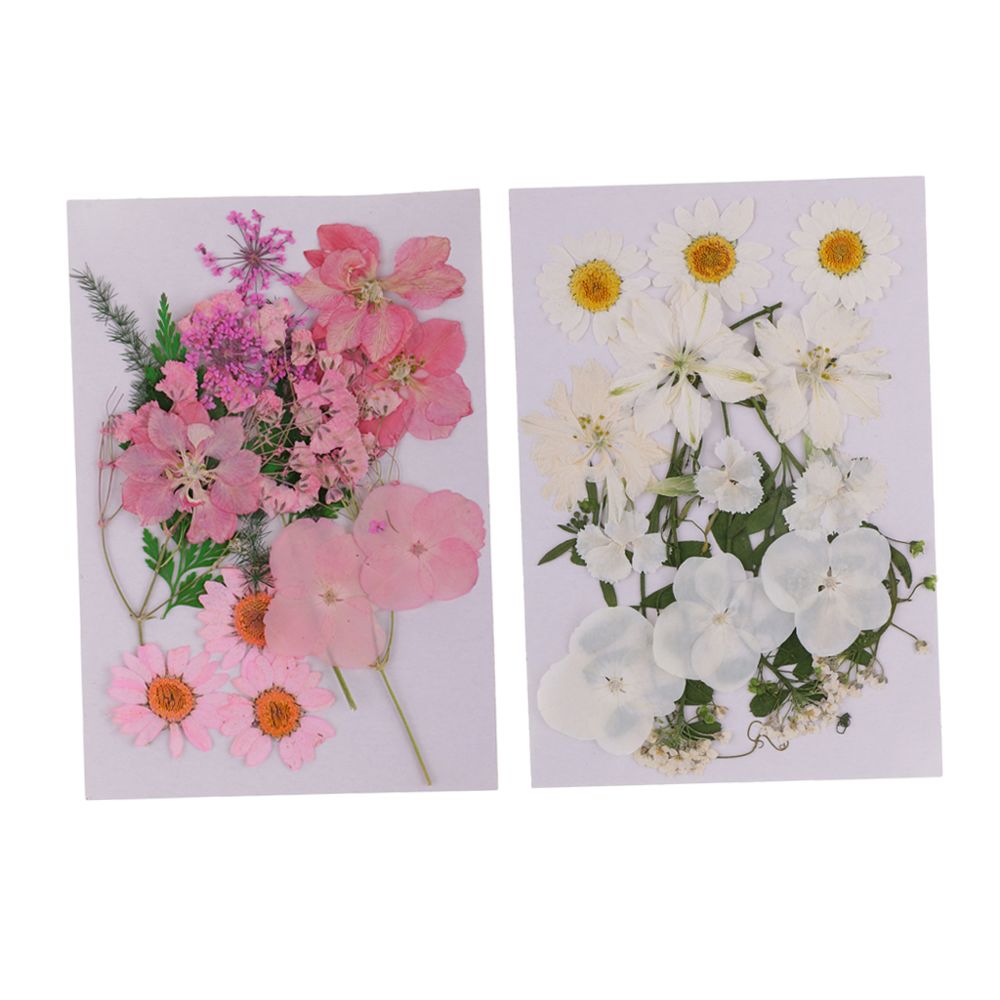 marque generique - fournitures cartes de vœux album scrapbooking - Plantes et fleurs artificielles