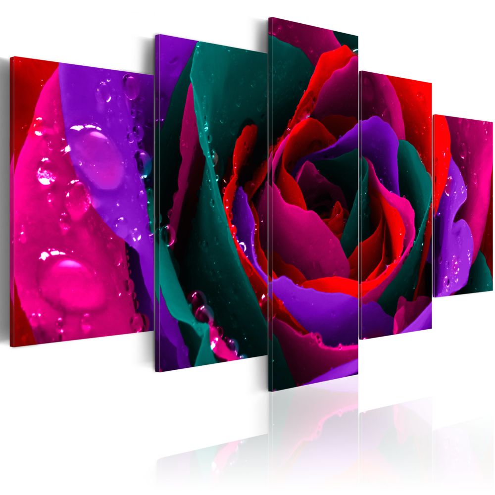 Bimago - Tableau - Multicoloured rose - Décoration, image, art | Fleurs | Roses | - Tableaux, peintures