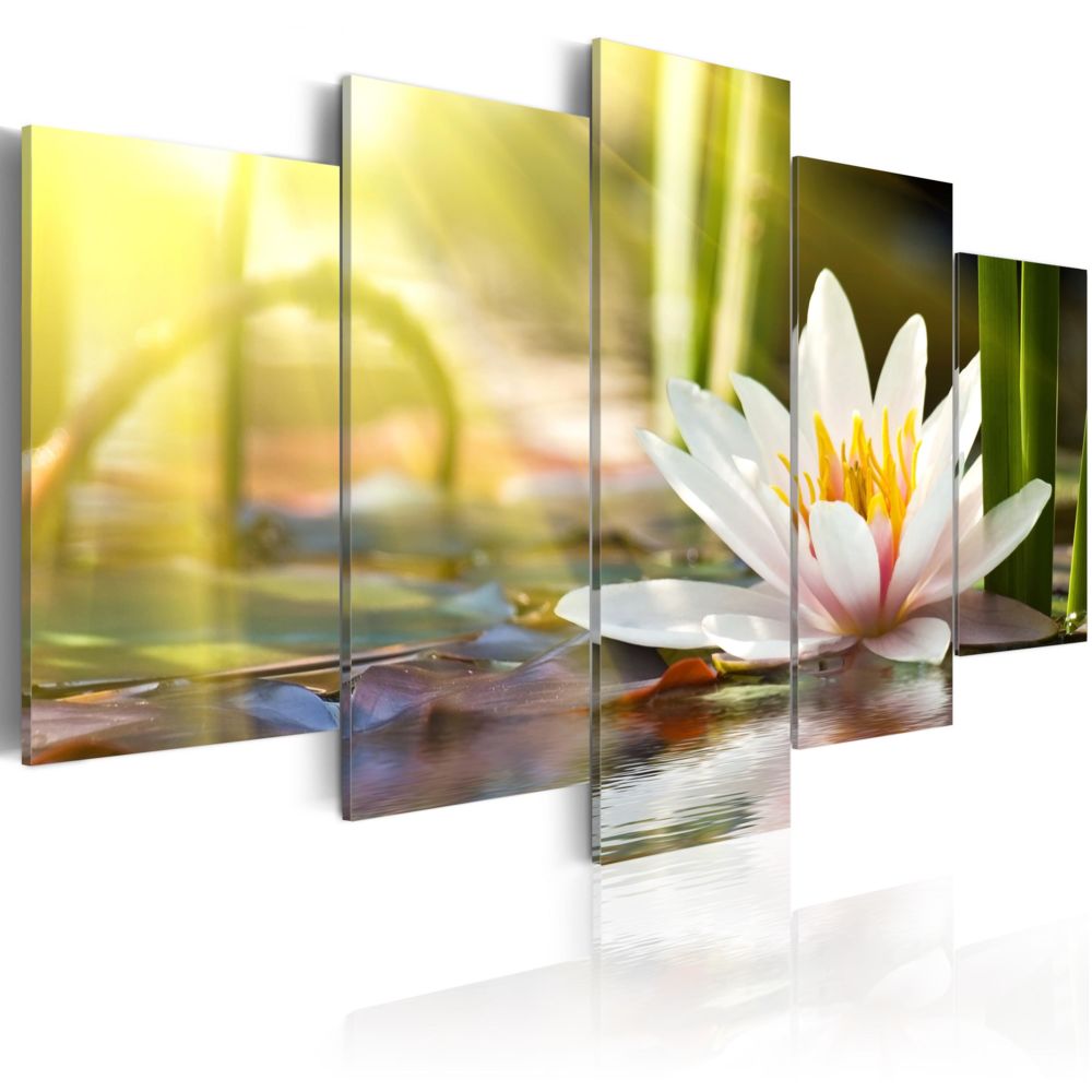 Bimago - Tableau - Sunny Lotus - Décoration, image, art | Fleurs variées | - Tableaux, peintures