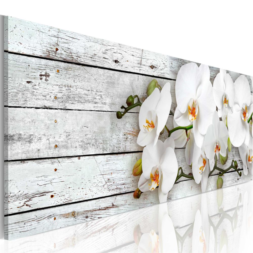 Bimago - Tableau - White Dreams - Décoration, image, art | Fleurs | Orchidées | - Tableaux, peintures