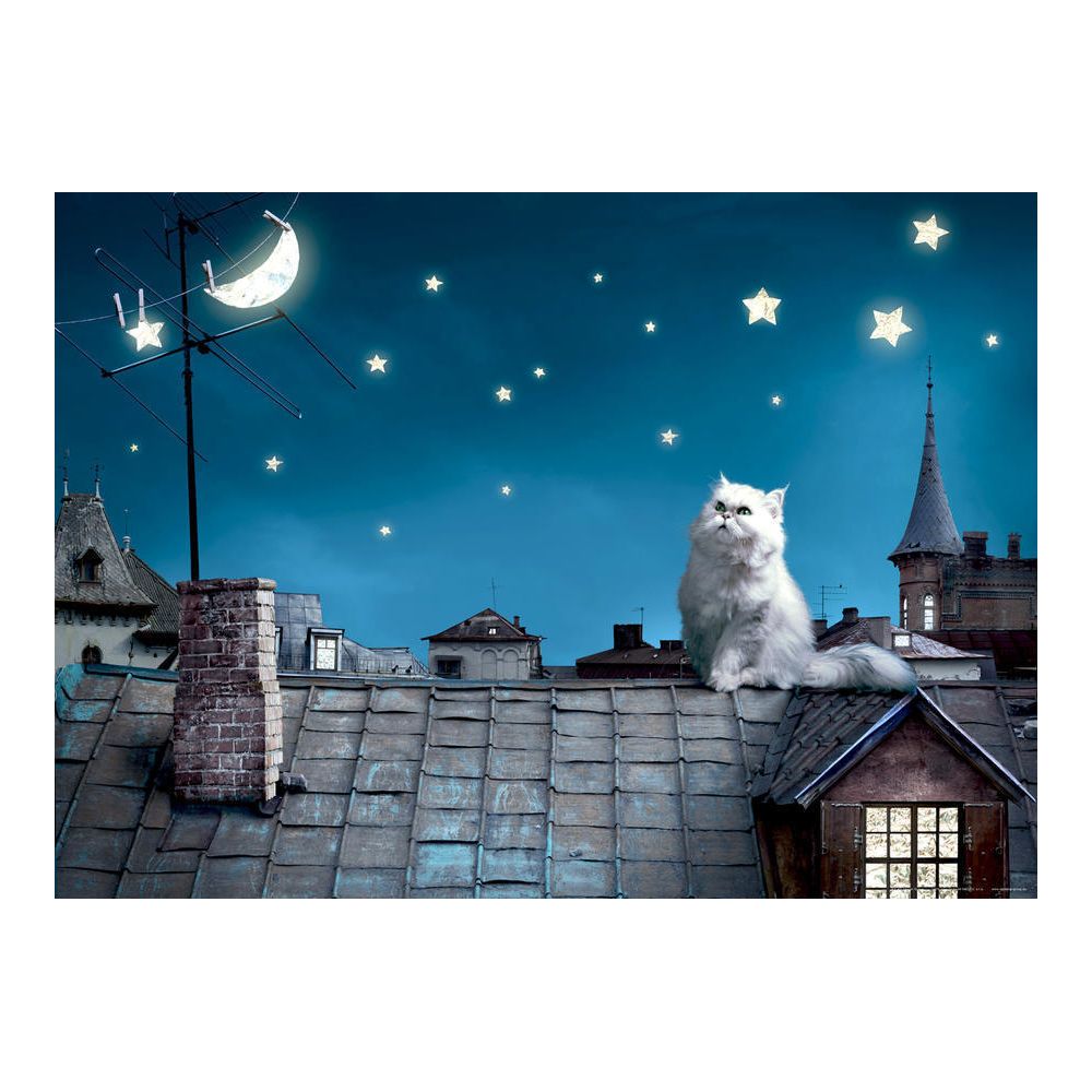 Bebe Gavroche - Cat on the roof, photo murale, 160 x 115 cm, 1 part - Affiches, posters