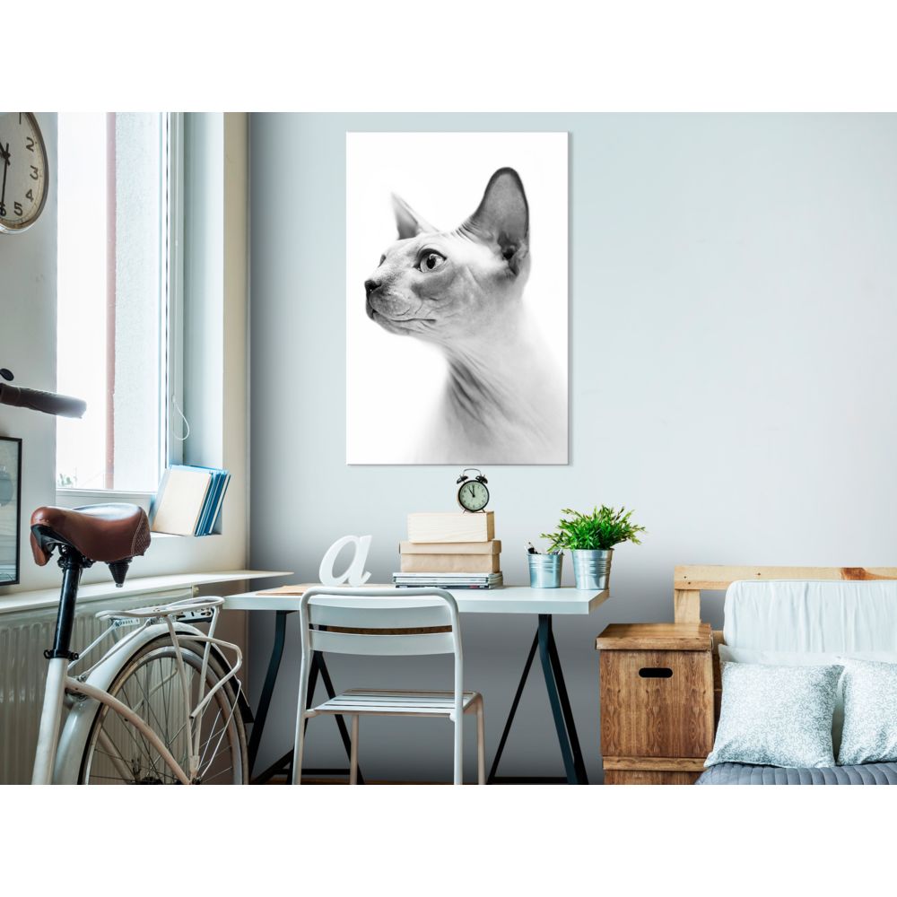 marque generique - 60x90 Tableau Chats Animaux Splendide Hairless Cat (1 Part) Vertical - Tableaux, peintures