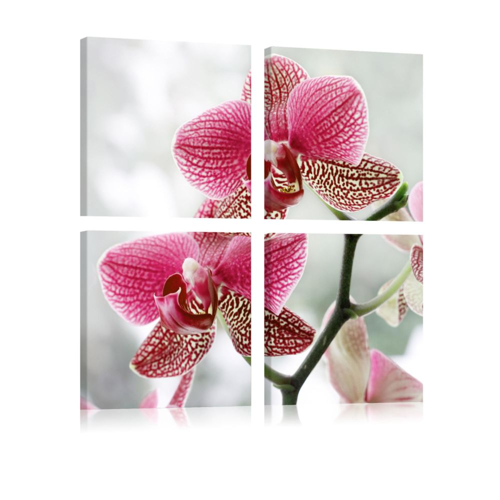Artgeist - Tableau - Orchidée de fantaisie 40x40 - Tableaux, peintures