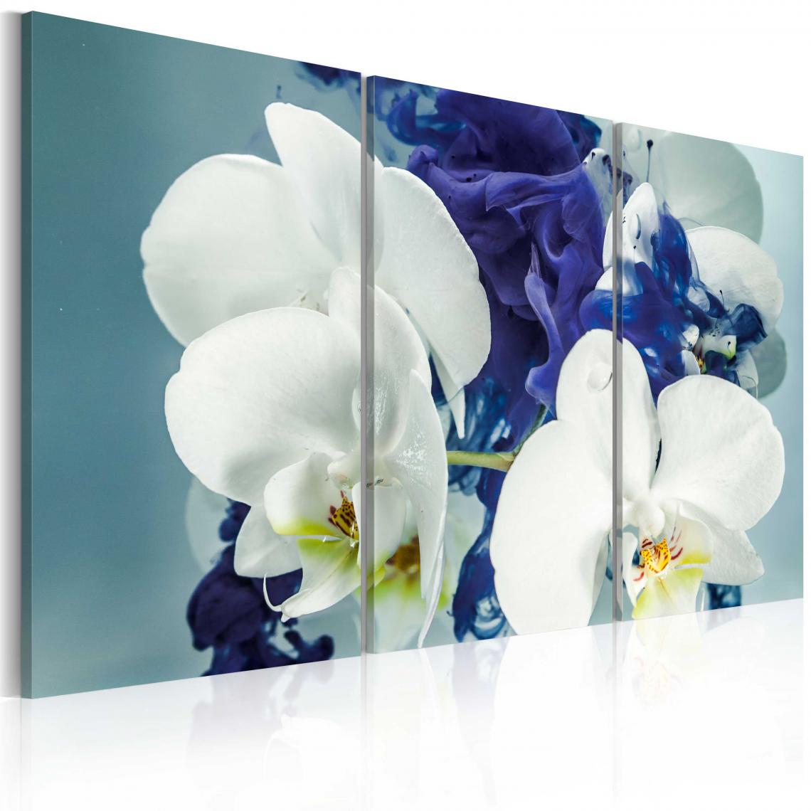Decoshop26 - Tableau sur toile en 3 panneaux décoration murale image imprimée cadre en bois à suspendre Orchidées chimériques 90x60 cm 11_0005534 - Tableaux, peintures