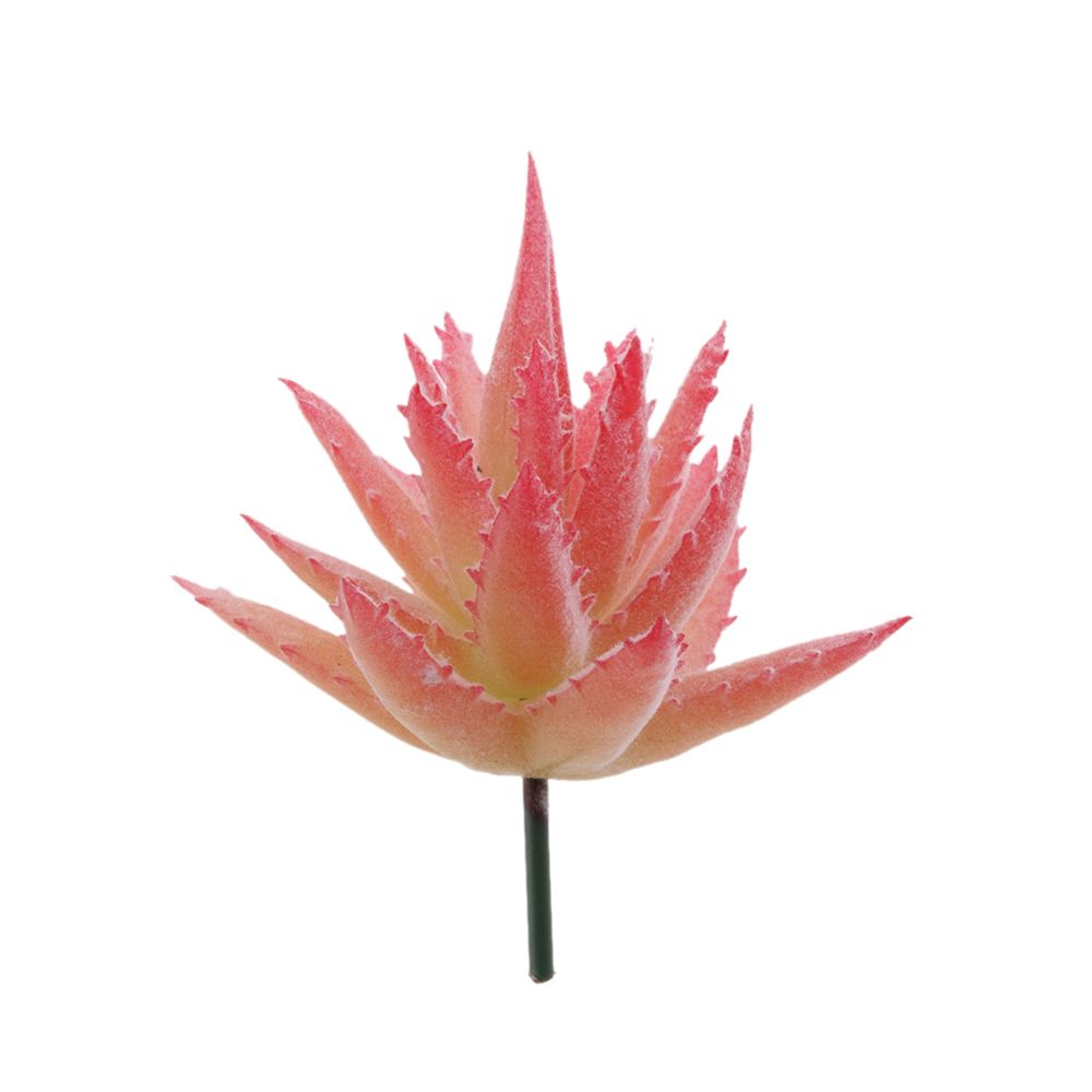marque generique - Feuilles artificielles artificielles artificielles et succulentes Faisons décoratifs faux cactus # 3 - Plantes et fleurs artificielles