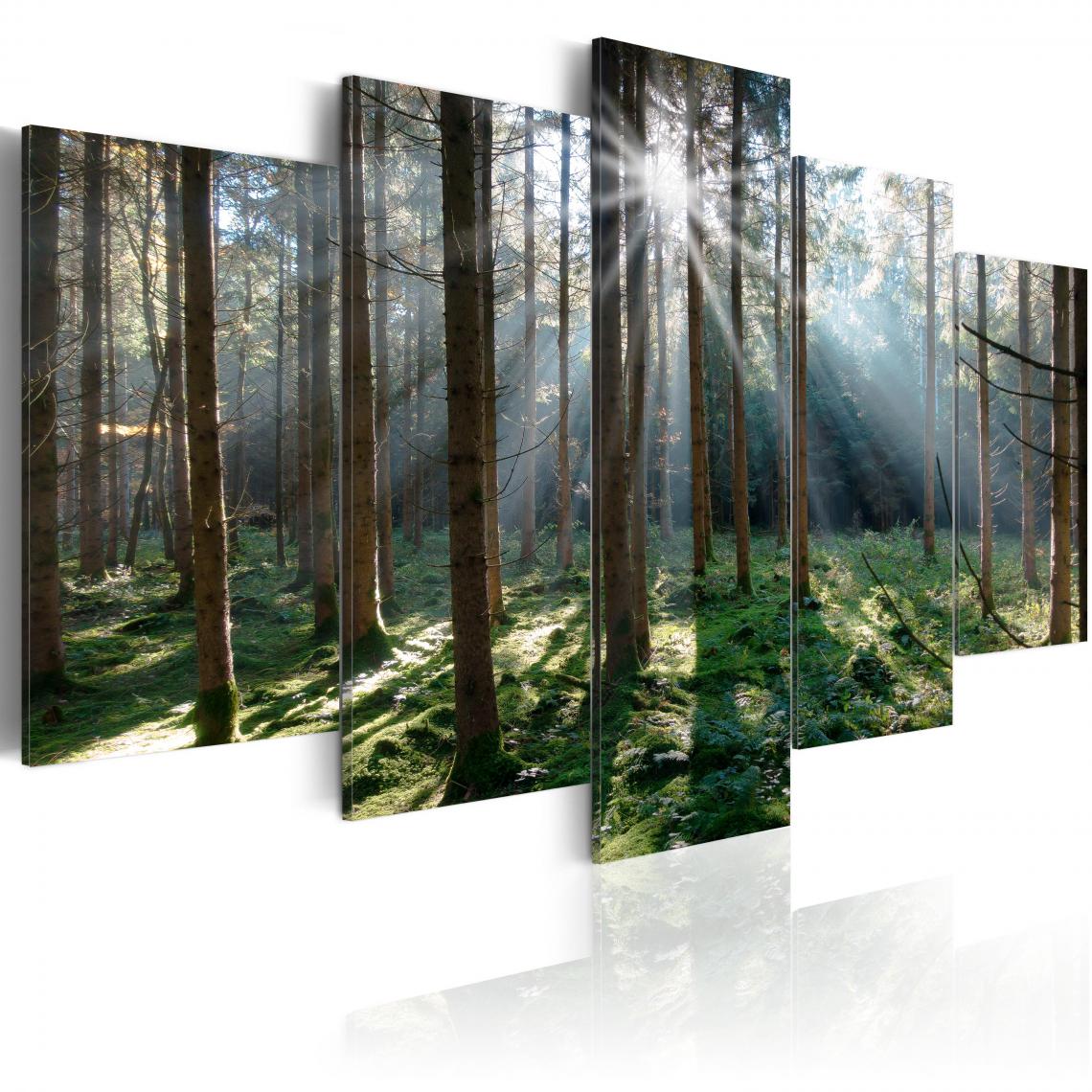 Decoshop26 - Tableau sur toile en 5 panneaux décoration murale image imprimée cadre en bois à suspendre Forêt de conte de fées 200x100 cm 11_0006249 - Tableaux, peintures