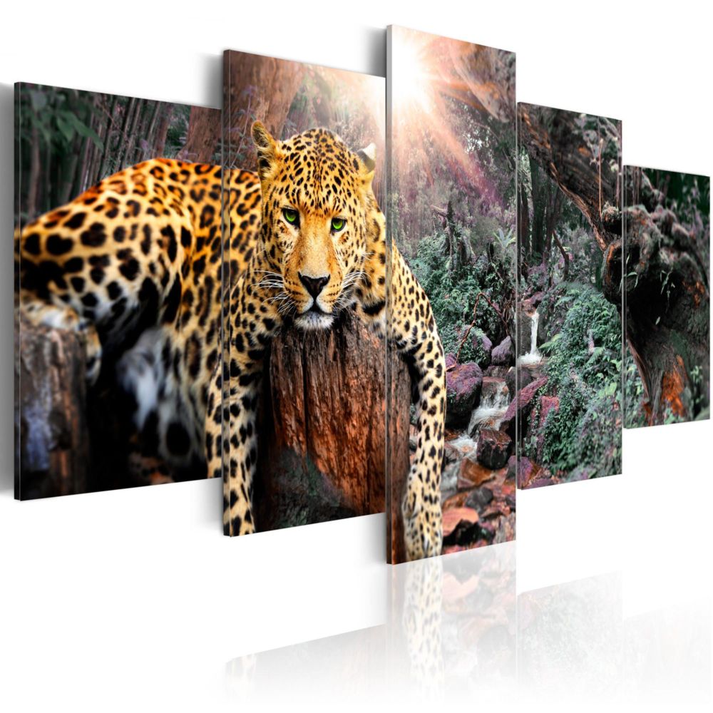 Artgeist - Tableau - Leopard Relaxation 100x50 - Tableaux, peintures