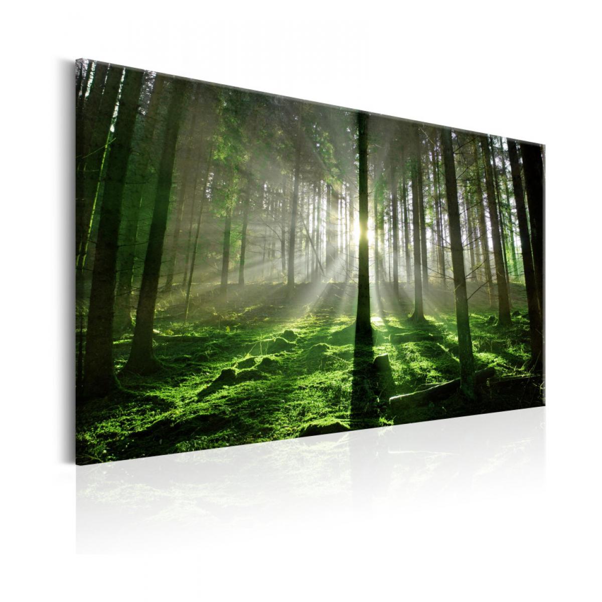 Artgeist - Tableau - Emerald Forest II 90x60 - Tableaux, peintures