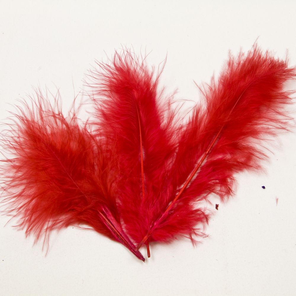 Visiodirect - Lot de 200 plumes de décoration coloris Rouge - 10 x 4 cm - Objets déco