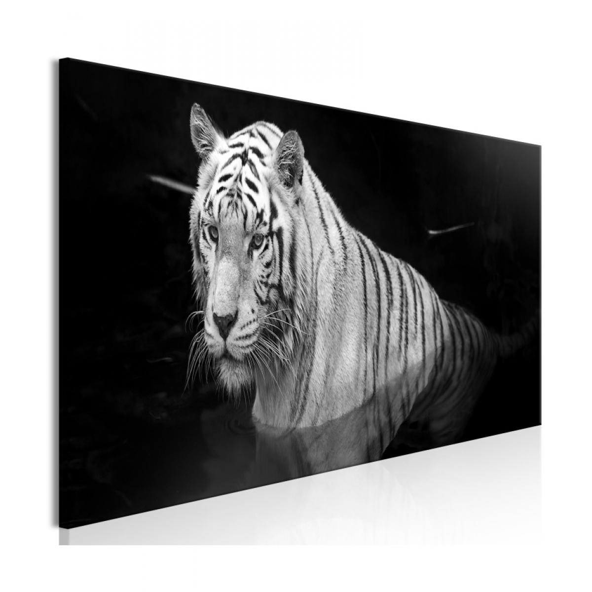 Artgeist - Tableau - Shining Tiger (1 Part) Black and White Narrow 135x45 - Tableaux, peintures
