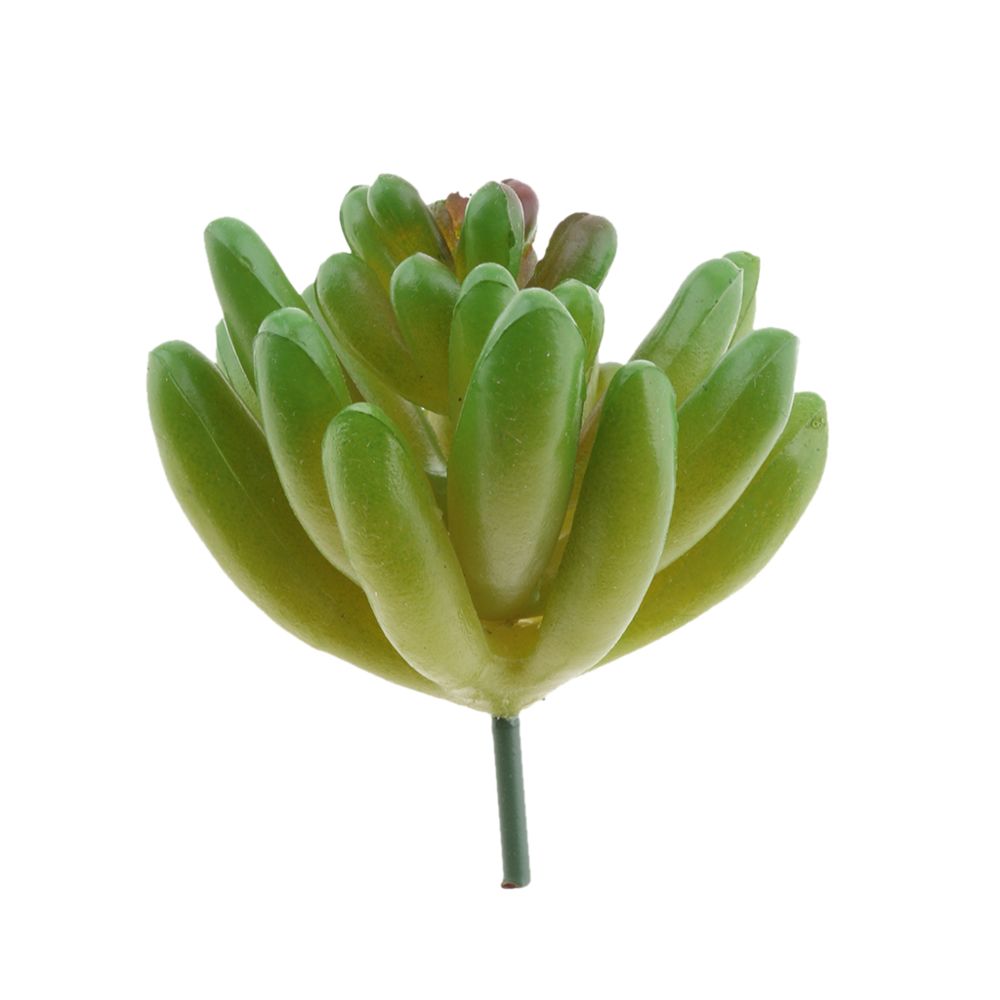 marque generique - 2.36 '' echeverie artificielle de plantes succulentes pour la décoration intérieure diy # 4 - Plantes et fleurs artificielles