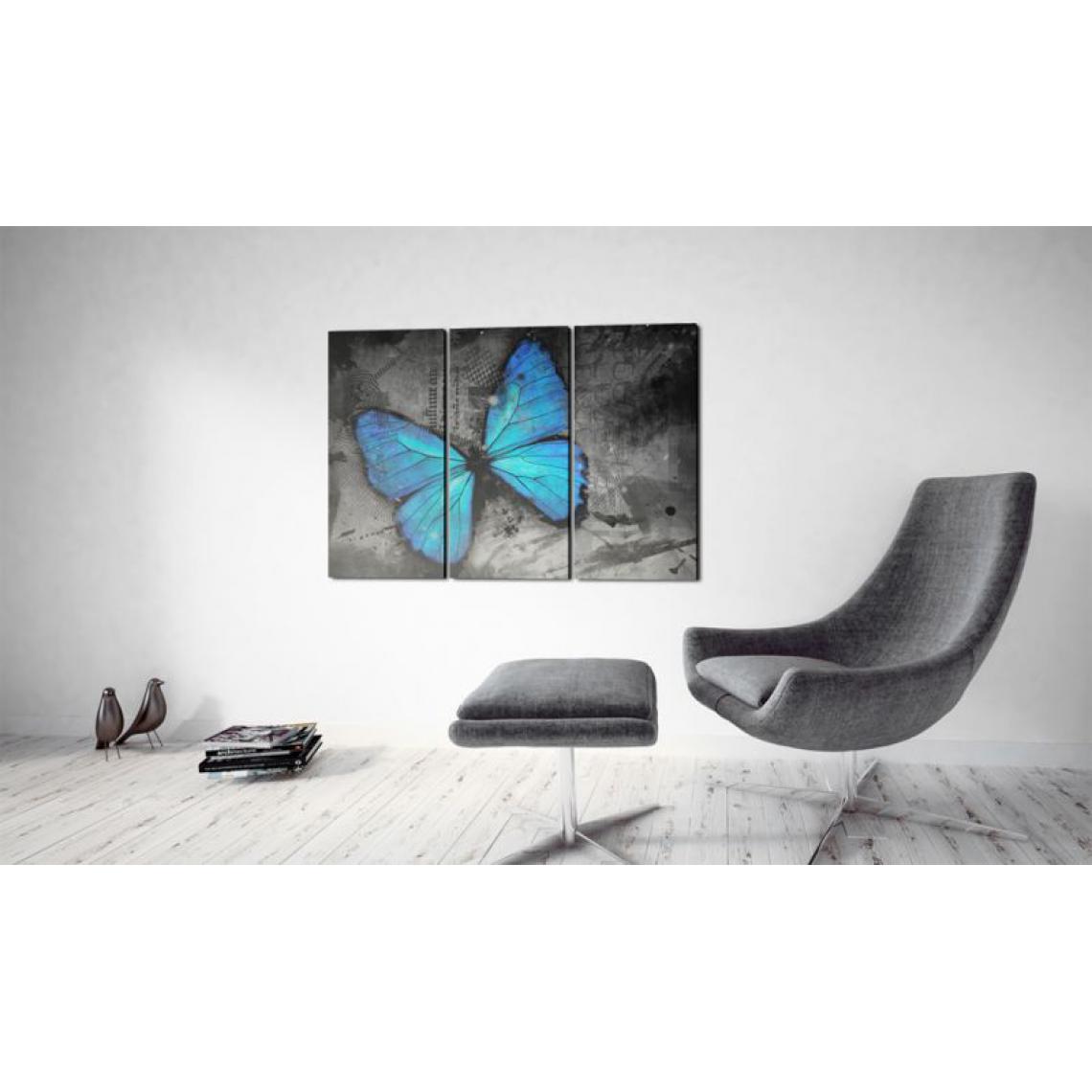 Artgeist - Tableau - Etude d'un papillon - triptyque .Taille : 120x80 - Tableaux, peintures