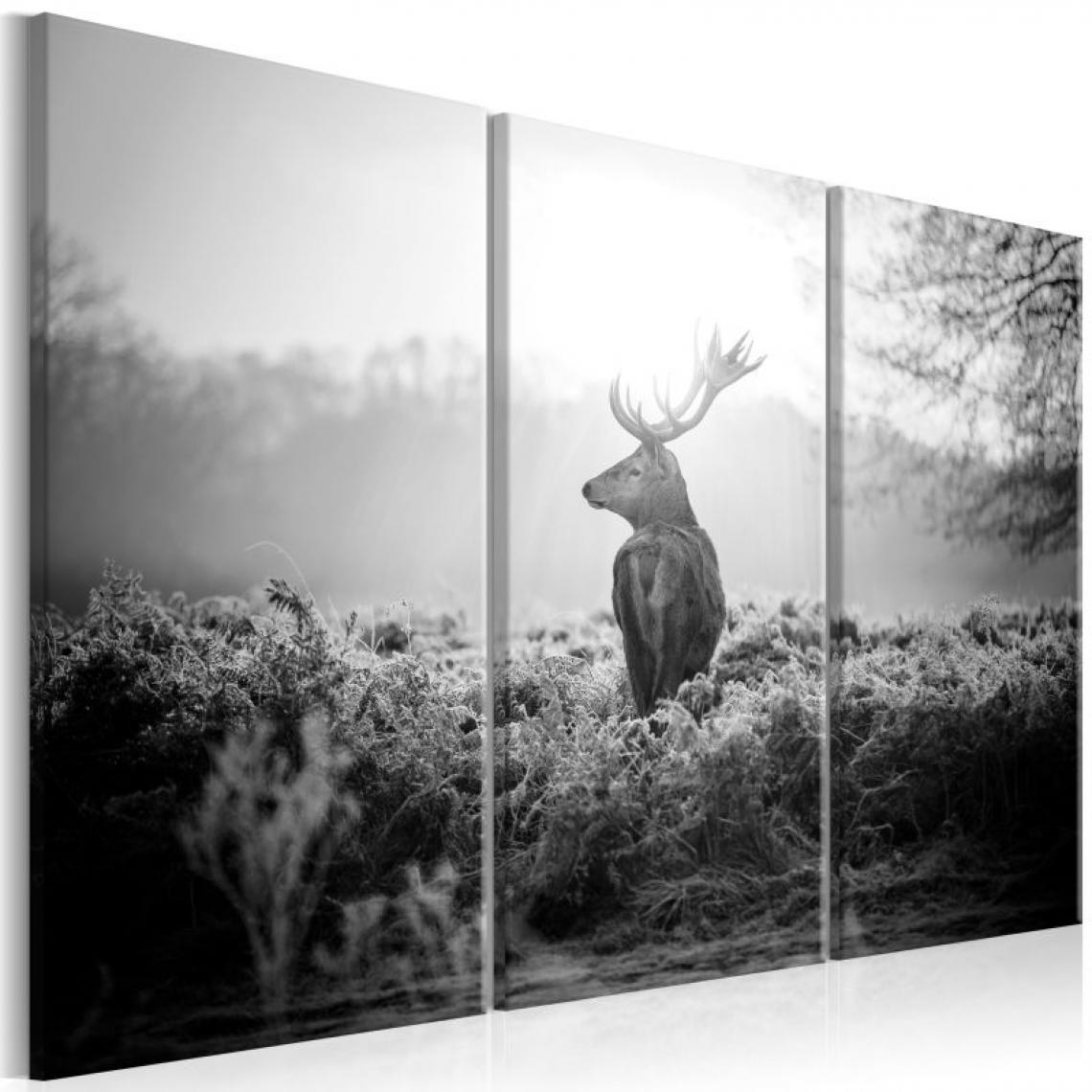 Artgeist - Tableau - Black and White Deer I .Taille : 120x80 - Tableaux, peintures