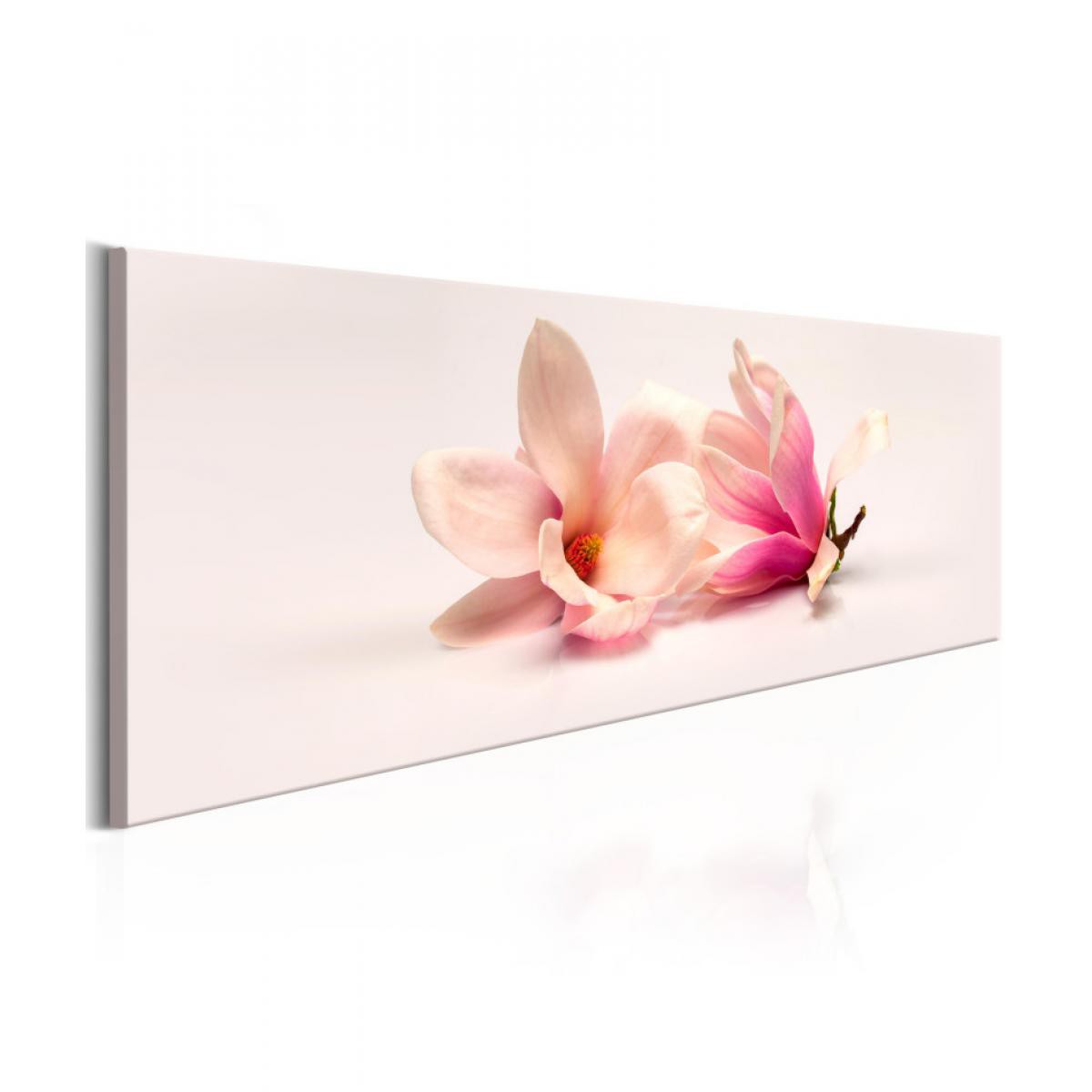 Artgeist - Tableau - Beautiful Magnolias 135x45 - Tableaux, peintures