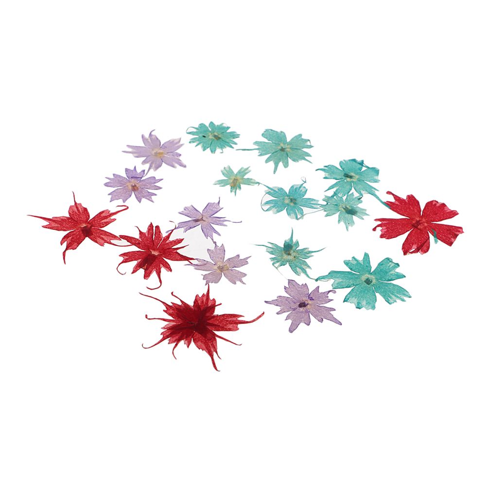 marque generique - fleurs séchées pressées naturelles feuilles artisanat d'art 30pcs mix1 - Plantes et fleurs artificielles