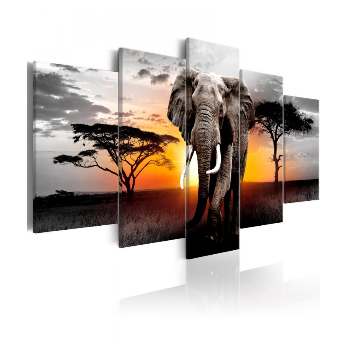 Artgeist - Tableau - Elephant at Sunset 200x100 - Tableaux, peintures