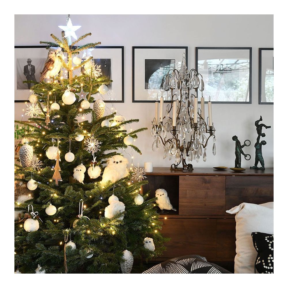 Blachere Illumination - Guirlande connectée avec haut parleur bluetooth blanc chaud - Décorations de Noël