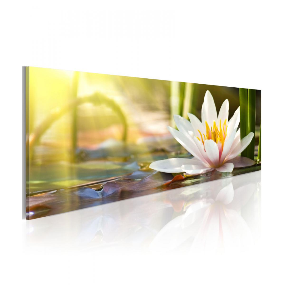Artgeist - Tableau - Lotus' Glow 135x45 - Tableaux, peintures