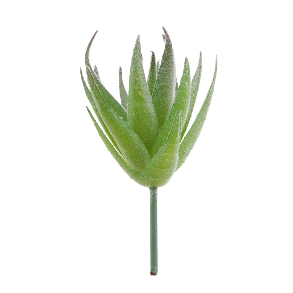 marque generique - Plastique artificiel miniatures plantes succulentes flocage aloe home cafe decor1 - Plantes et fleurs artificielles