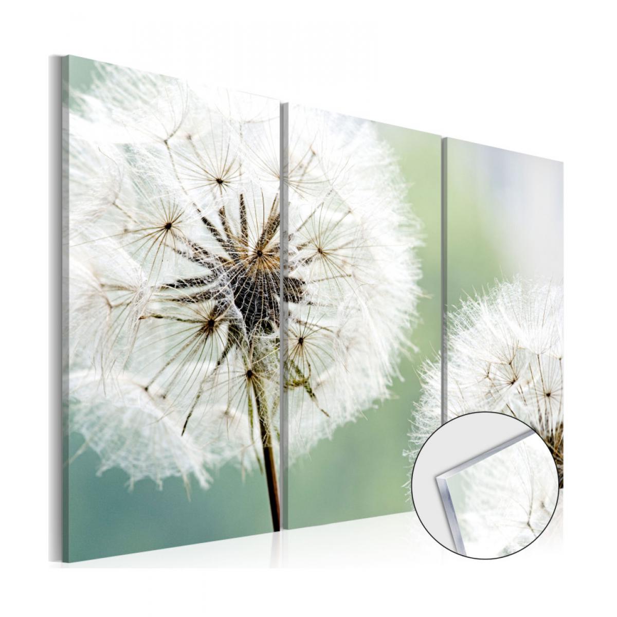 Artgeist - Tableau sur verre acrylique - Fluffy Dandelions [Glass] 60x40 - Tableaux, peintures
