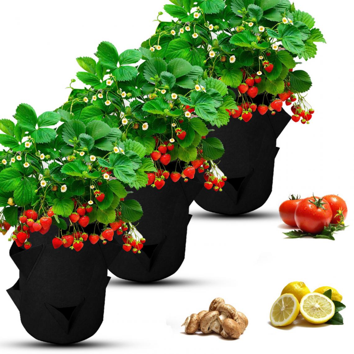 Einfeben - 3x Sac pour plantes Sac pour plantes 5 gallons Sac pour plantes Panier pour plantes Pomme de terre Tomate Fraise - Pots, cache-pots