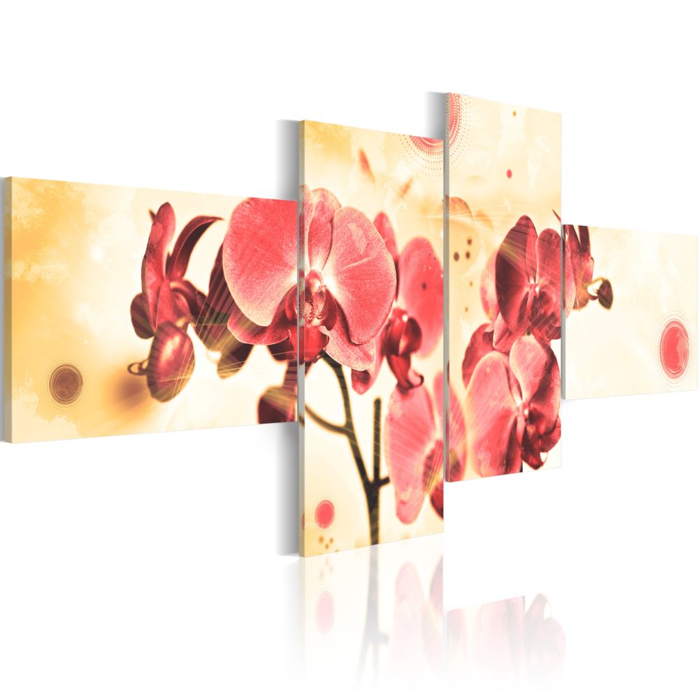 Bimago - Tableau | Dream of orchids | 4 pieces | 100x45 | - Tableaux, peintures