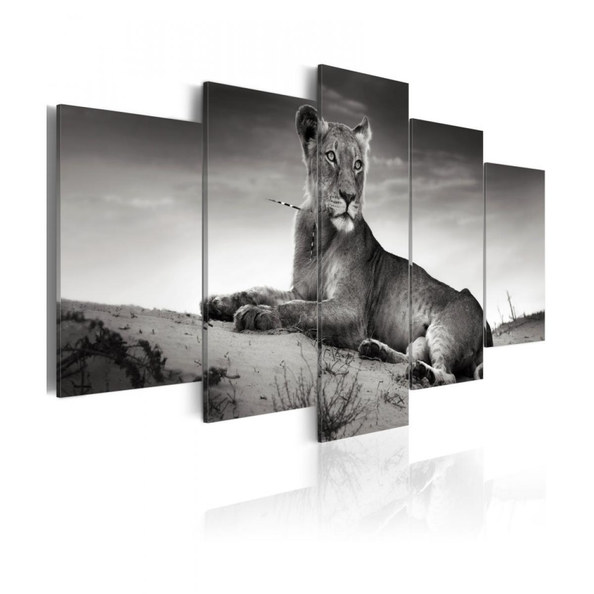 Artgeist - Tableau - Tigresse dans le désert 200x100 - Tableaux, peintures