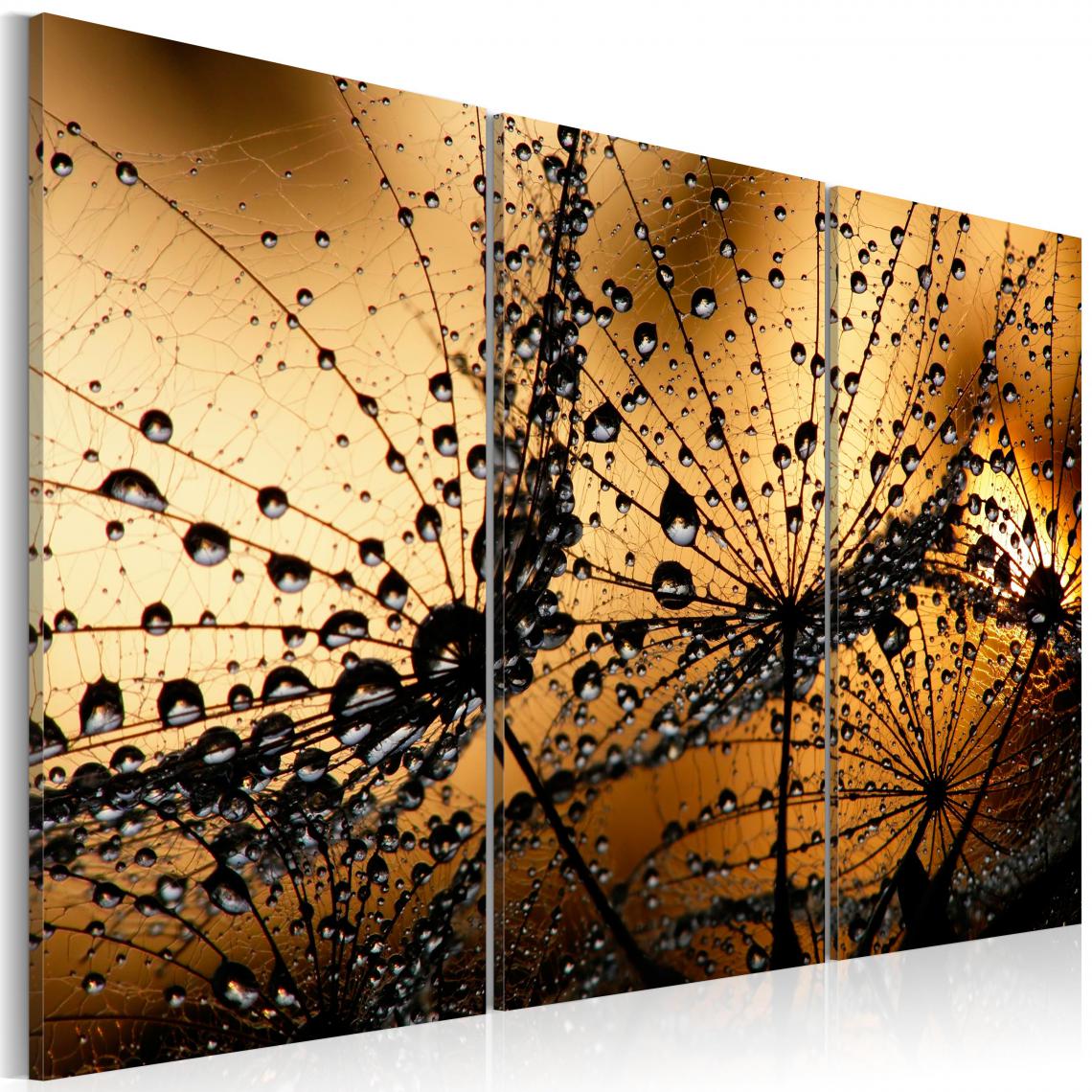 Decoshop26 - Tableau sur toile en 3 panneaux décoration murale image imprimée cadre en bois à suspendre Pissenlit et rosée 60x40 cm 11_0004895 - Tableaux, peintures