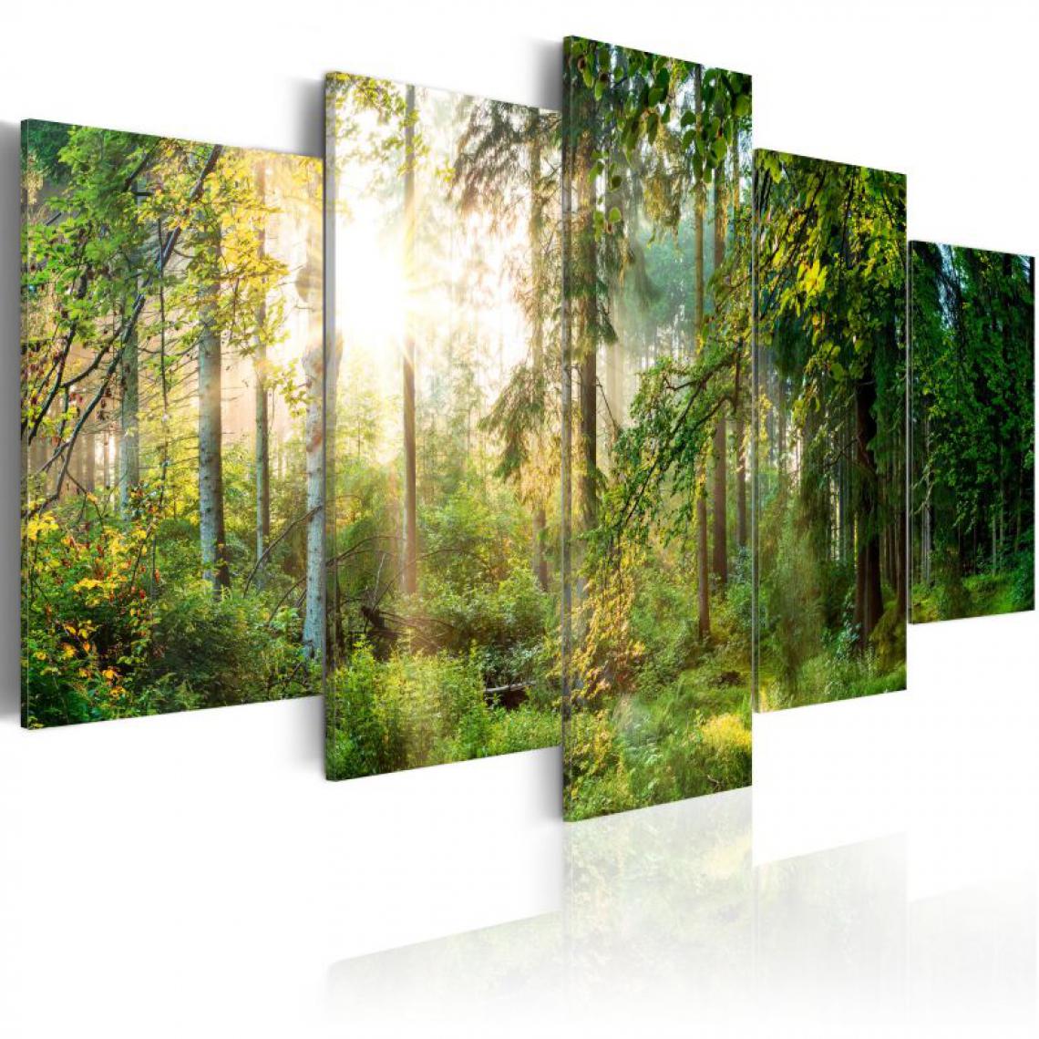 Artgeist - Tableau - Green Sanctuary .Taille : 200x100 - Tableaux, peintures