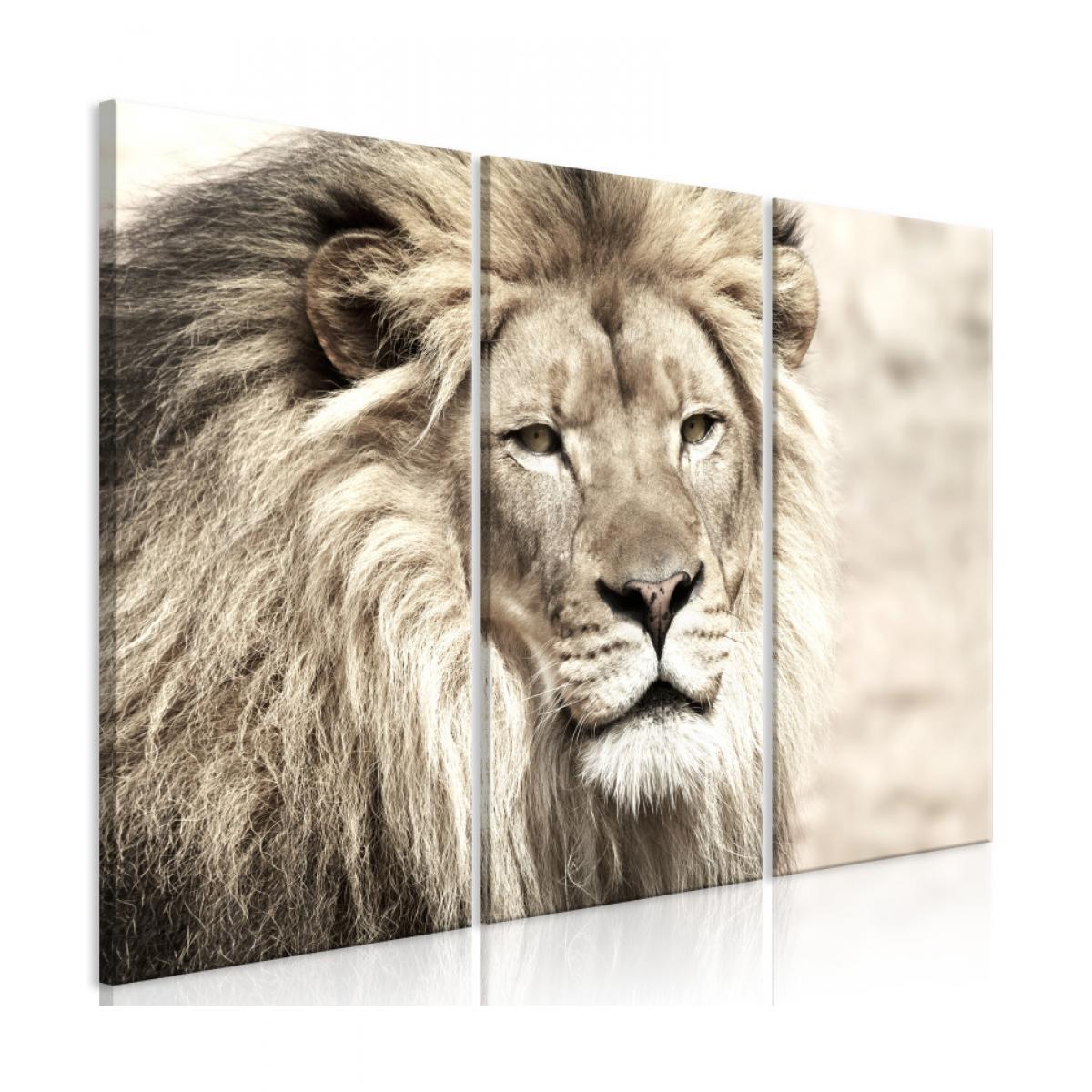 Artgeist - Tableau - The King of Beasts (3 Parts) Beige 90x60 - Tableaux, peintures