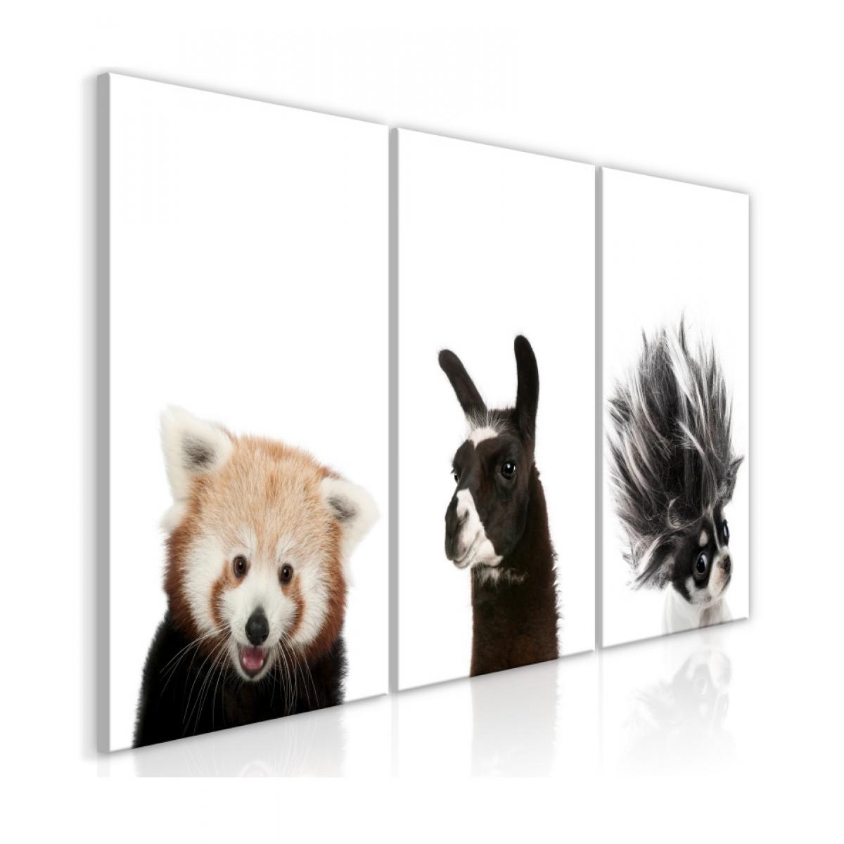 Artgeist - Tableau - Friendly Animals (Collection) 60x30 - Tableaux, peintures