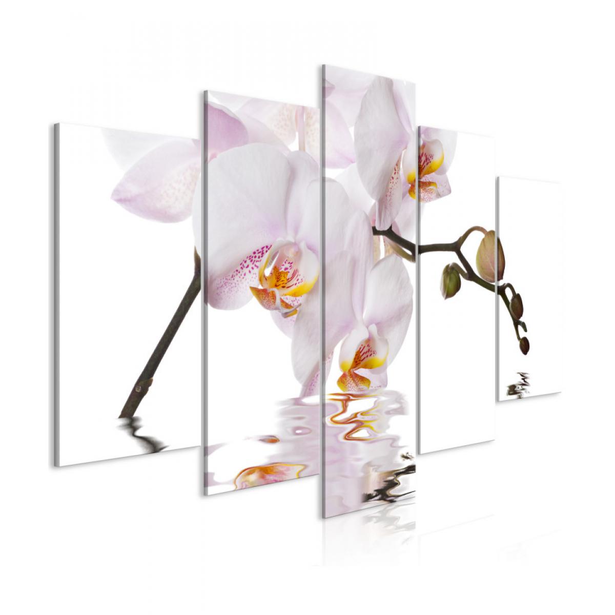 Artgeist - Tableau - Delightful Orchid (5 Parts) Wide 100x50 - Tableaux, peintures