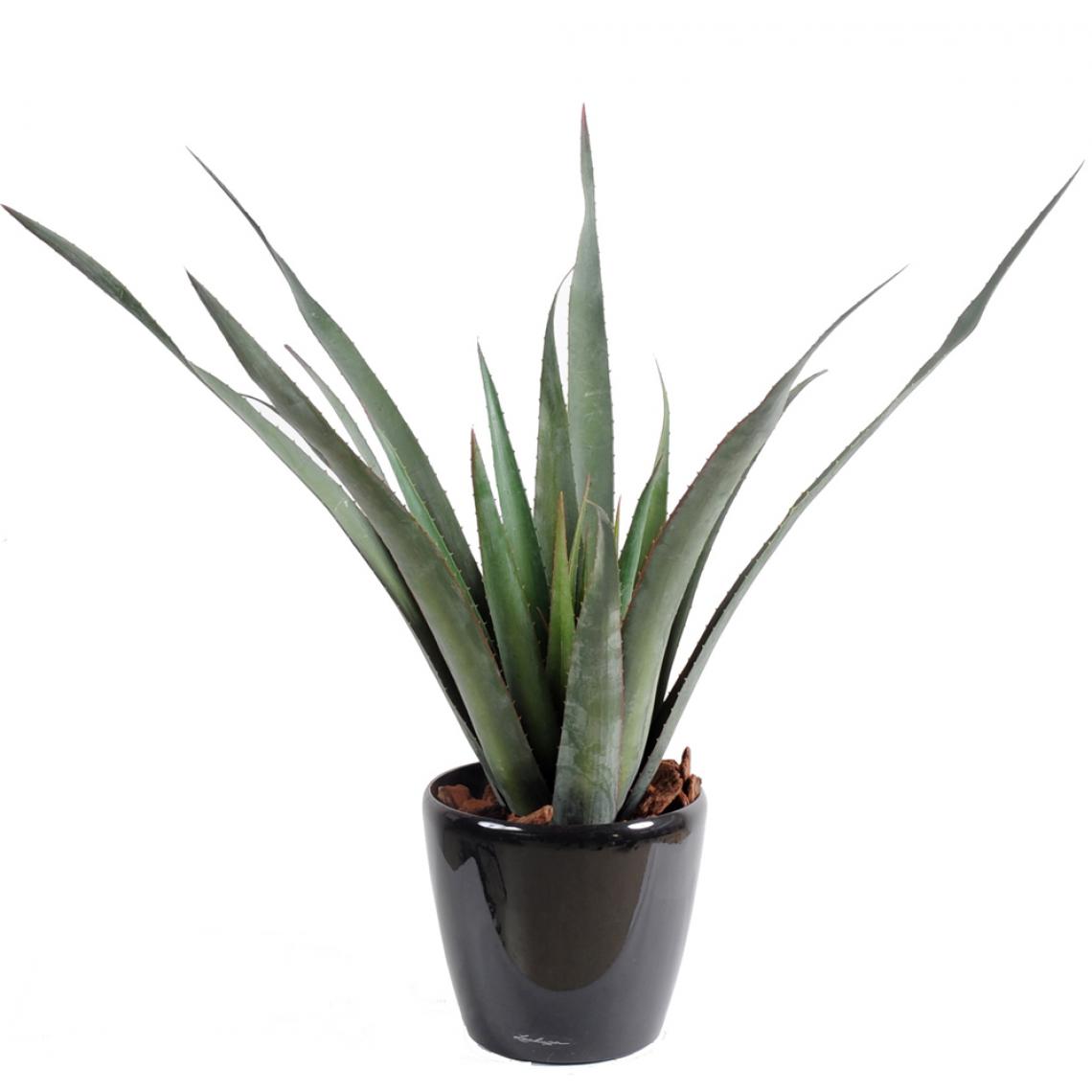 Pegane - Plante artificielle haute gamme Spécial extérieur / Aloe artificielle ferox - Dim : 65 x 60 cm - Plantes et fleurs artificielles