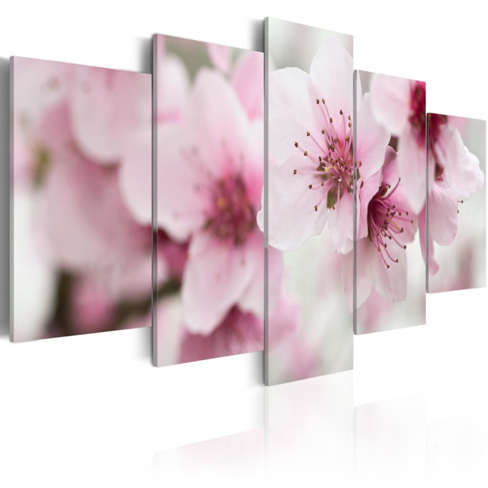 Artgeist - Tableau - Cerisier - beauté et douceur 200x100 - Tableaux, peintures