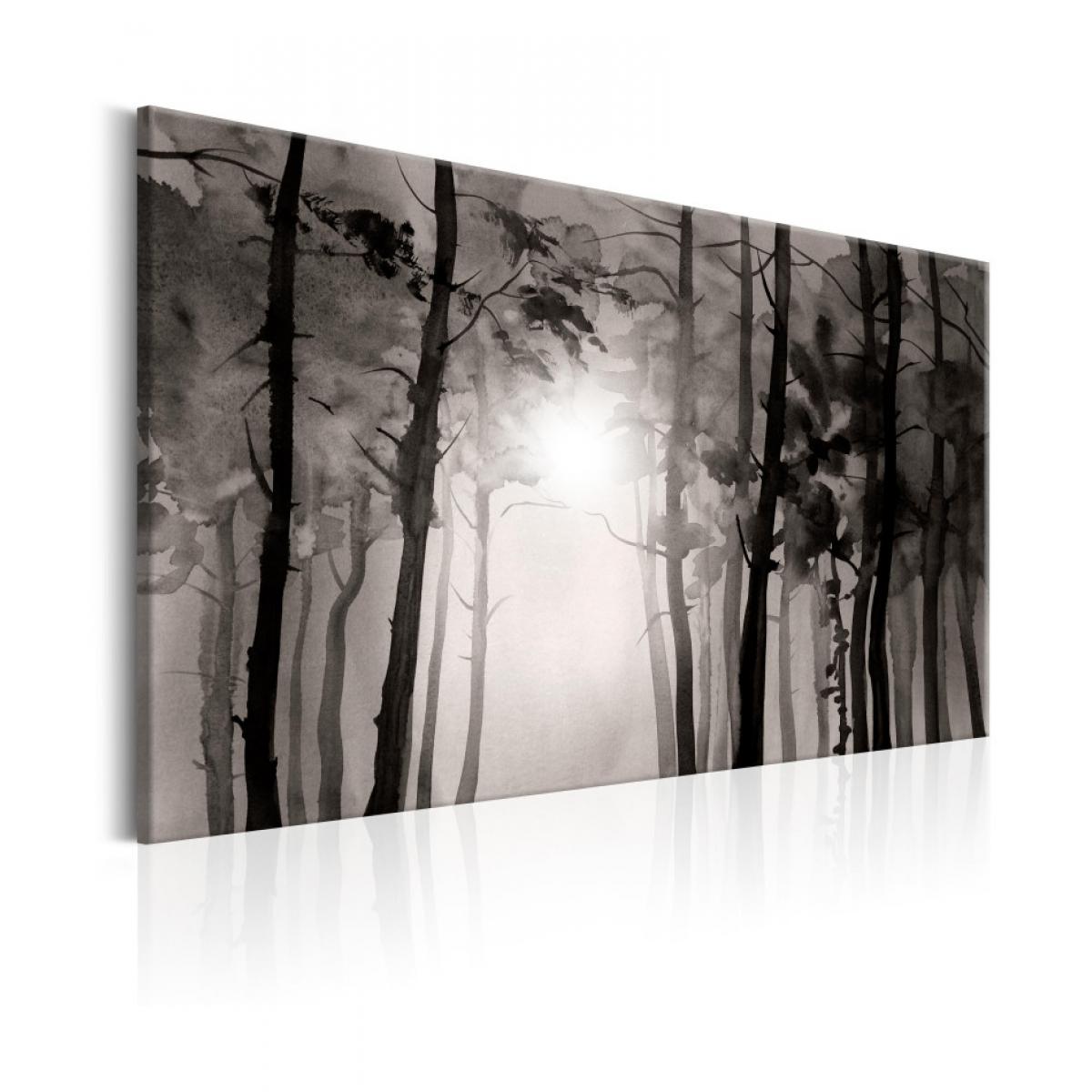 Artgeist - Tableau - Foggy Forest 90x60 - Tableaux, peintures