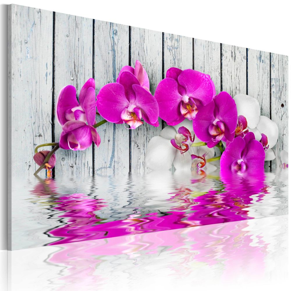 Bimago - Tableau - harmonie: orchidée - Décoration, image, art | Fleurs | Orchidées | 60x40 cm | - Tableaux, peintures