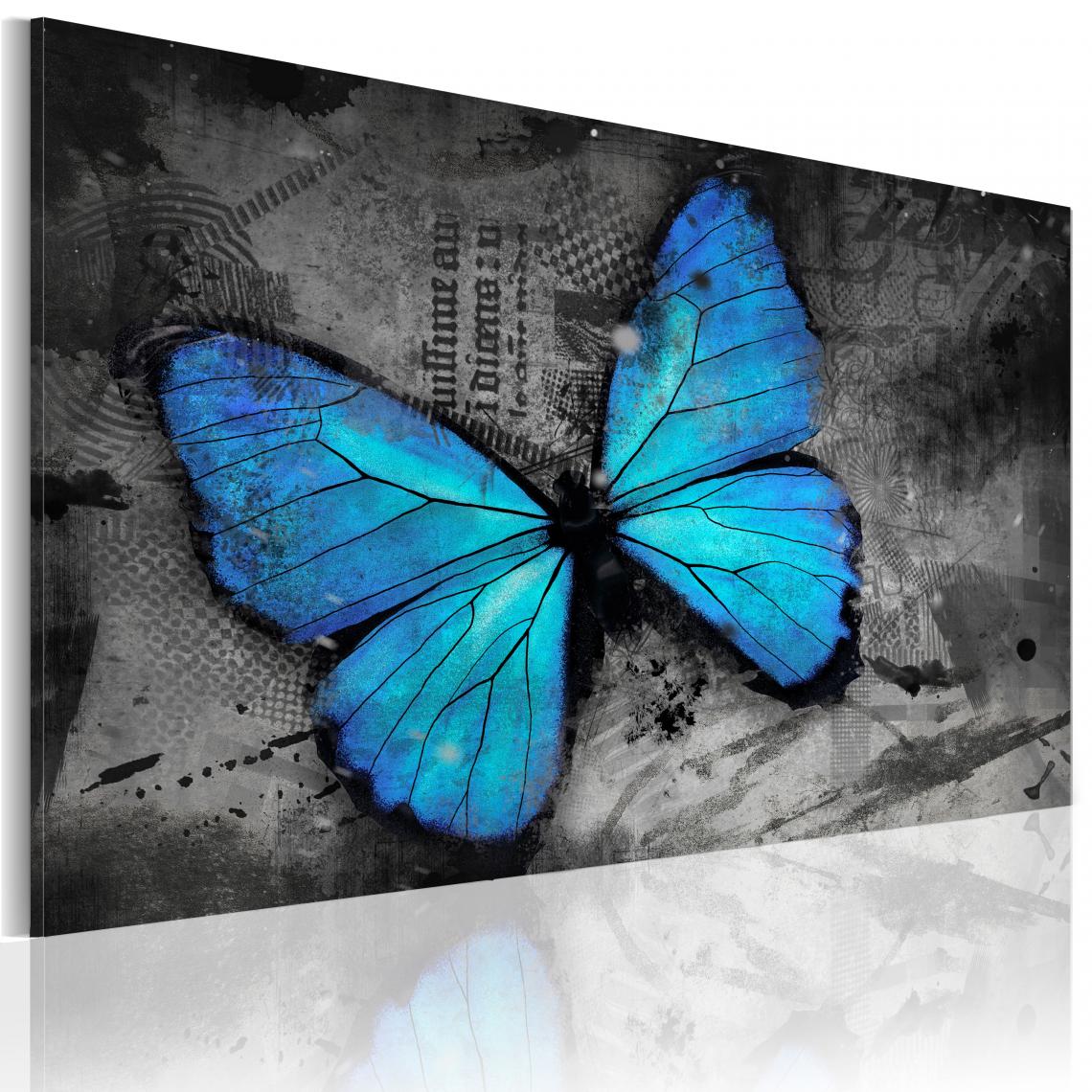 Decoshop26 - Tableau sur toile décoration murale image imprimée cadre en bois à suspendre Etude d'un papillon 60x40 cm 11_0009638 - Tableaux, peintures