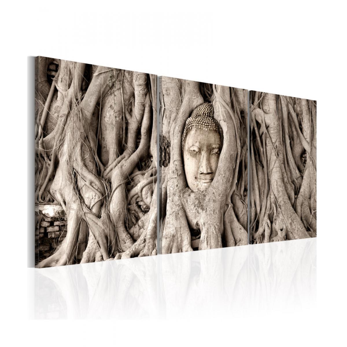 Artgeist - Tableau - Meditation's Tree 60x30 - Tableaux, peintures
