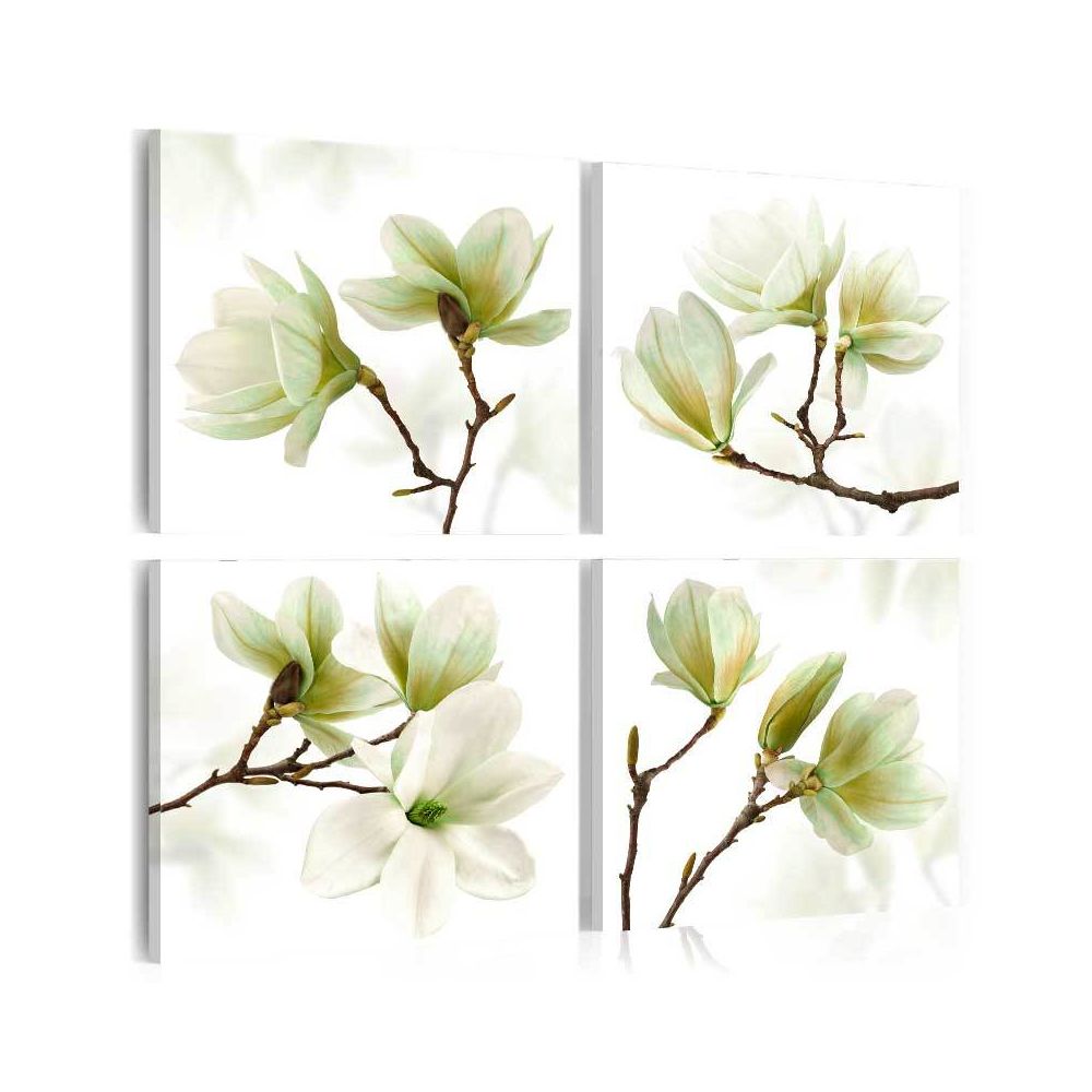 Bimago - Tableau - Admiration of Magnolia - Décoration, image, art | Abstraction | - Tableaux, peintures