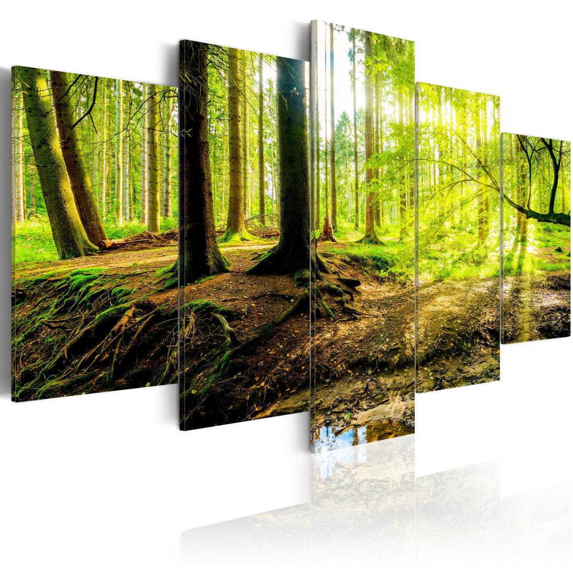 Decoshop26 - Tableau sur toile en 5 panneaux décoration murale image imprimée cadre en bois à suspendre Poésie d'une forêt 200x100 cm 11_0006353 - Tableaux, peintures