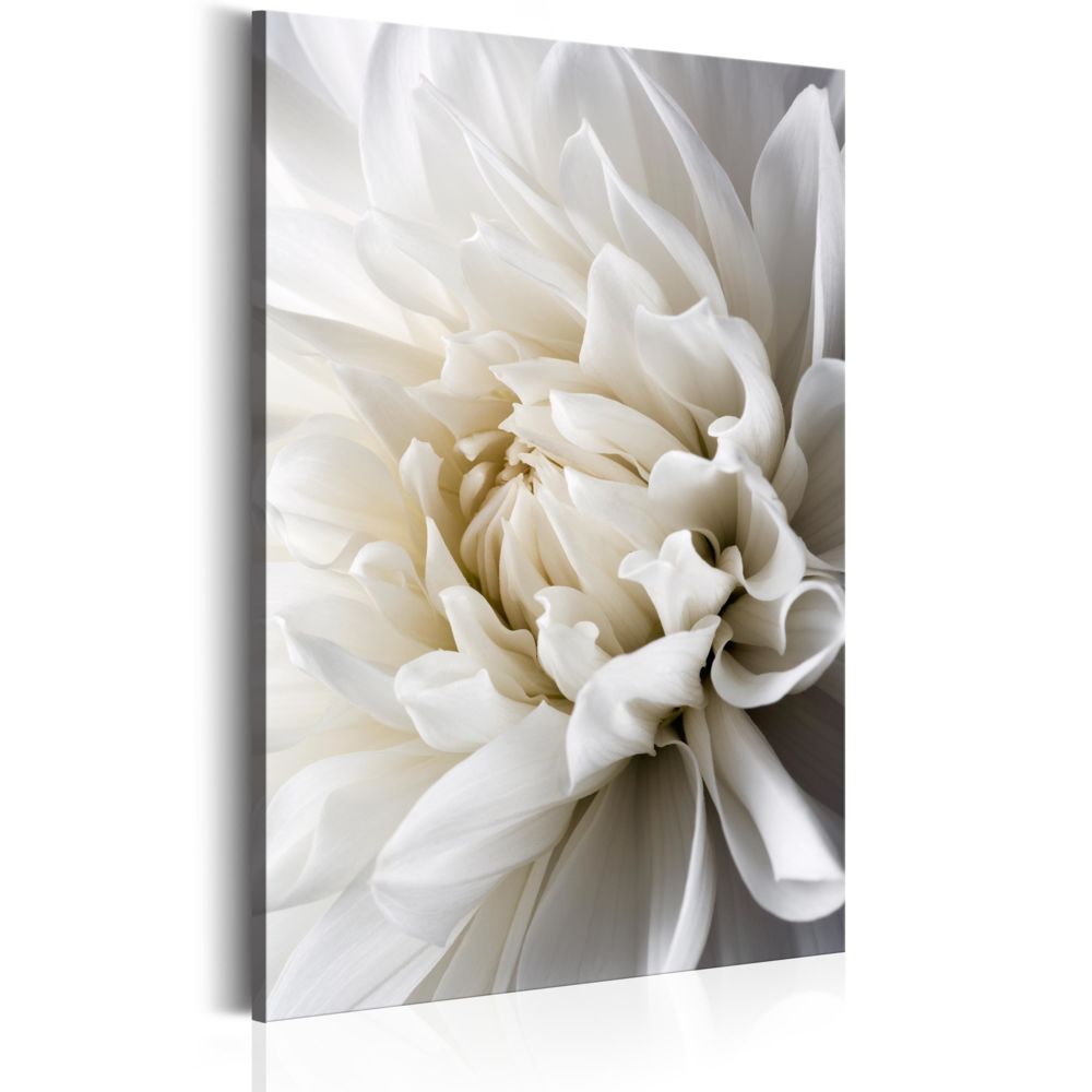 Bimago - Tableau - White Dahlia - Décoration, image, art | Fleurs variées | - Tableaux, peintures