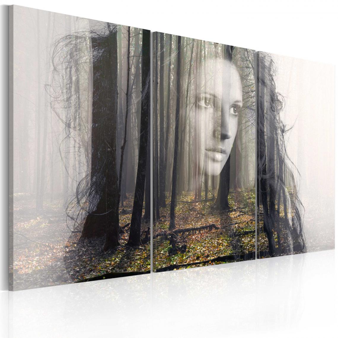 Decoshop26 - Tableau sur toile en 3 panneaux décoration murale image imprimée cadre en bois à suspendre Nymphe de la forêt 60x40 cm 11_0007372 - Tableaux, peintures