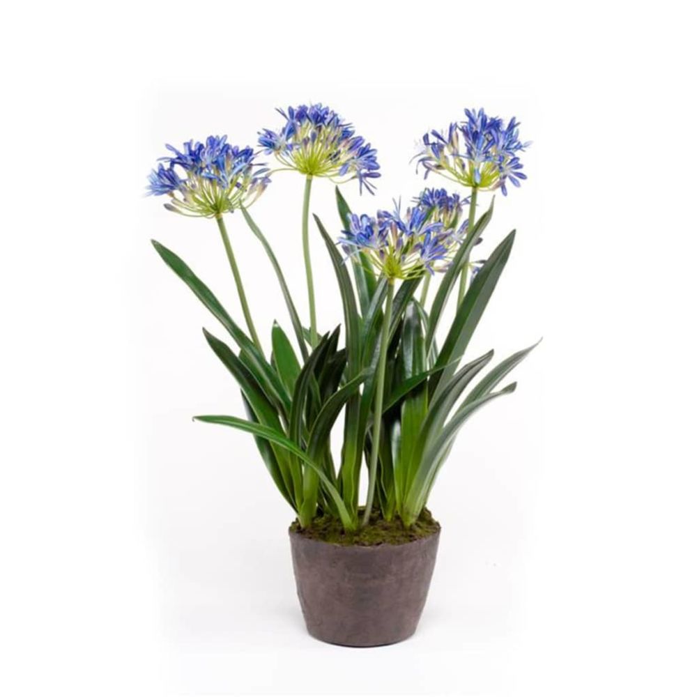 Emerald - Emerald Agapanthe artificiel 75 cm Bleu - Plantes et fleurs artificielles