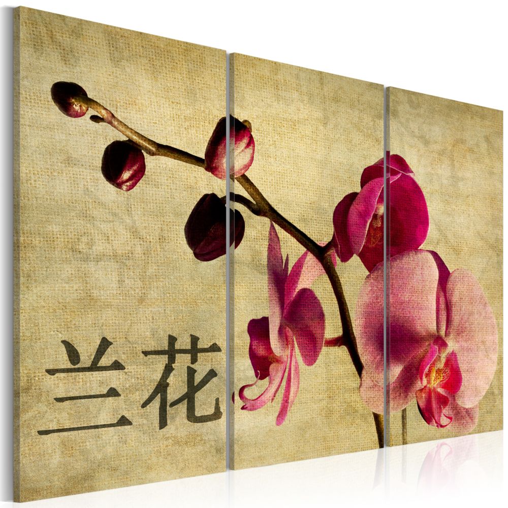 Bimago - Tableau | Triptych, Orient and orchid | 60x40 | | - Tableaux, peintures