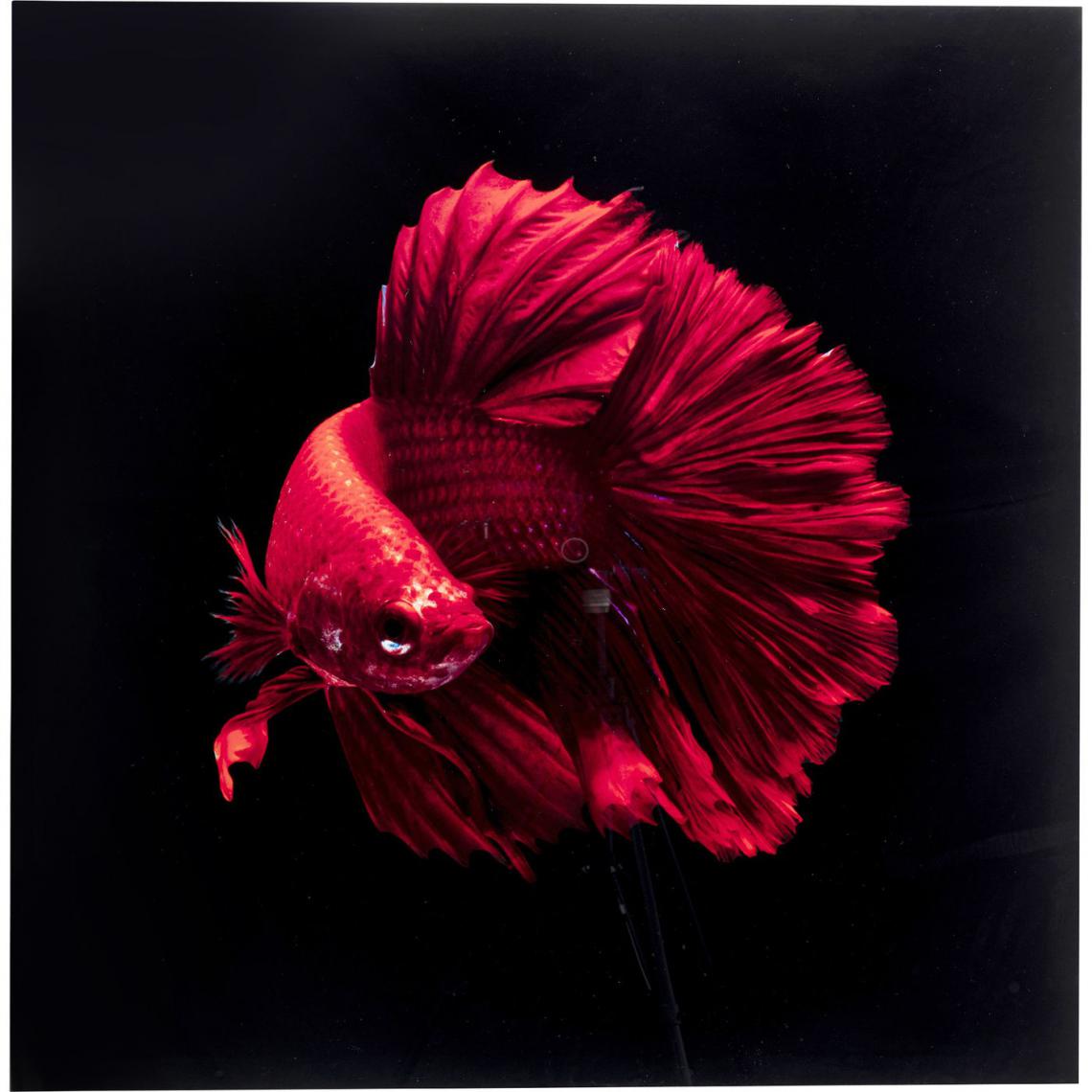 Karedesign - Tableau en verre poisson rouge 100x100cm Kare Design - Tableaux, peintures