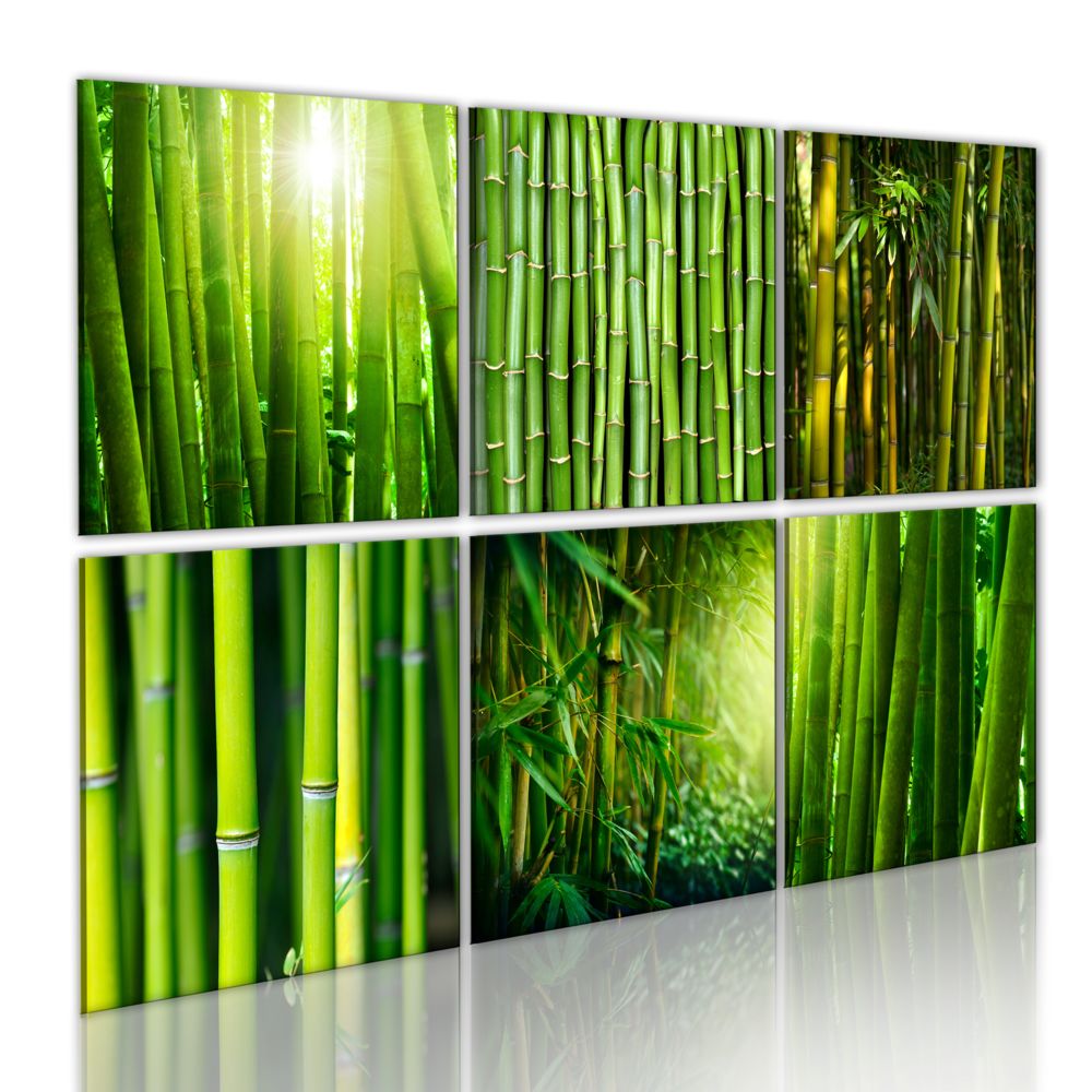 Bimago - Tableau - Nombreux visages du bambou - Décoration, image, art | Zen | - Tableaux, peintures