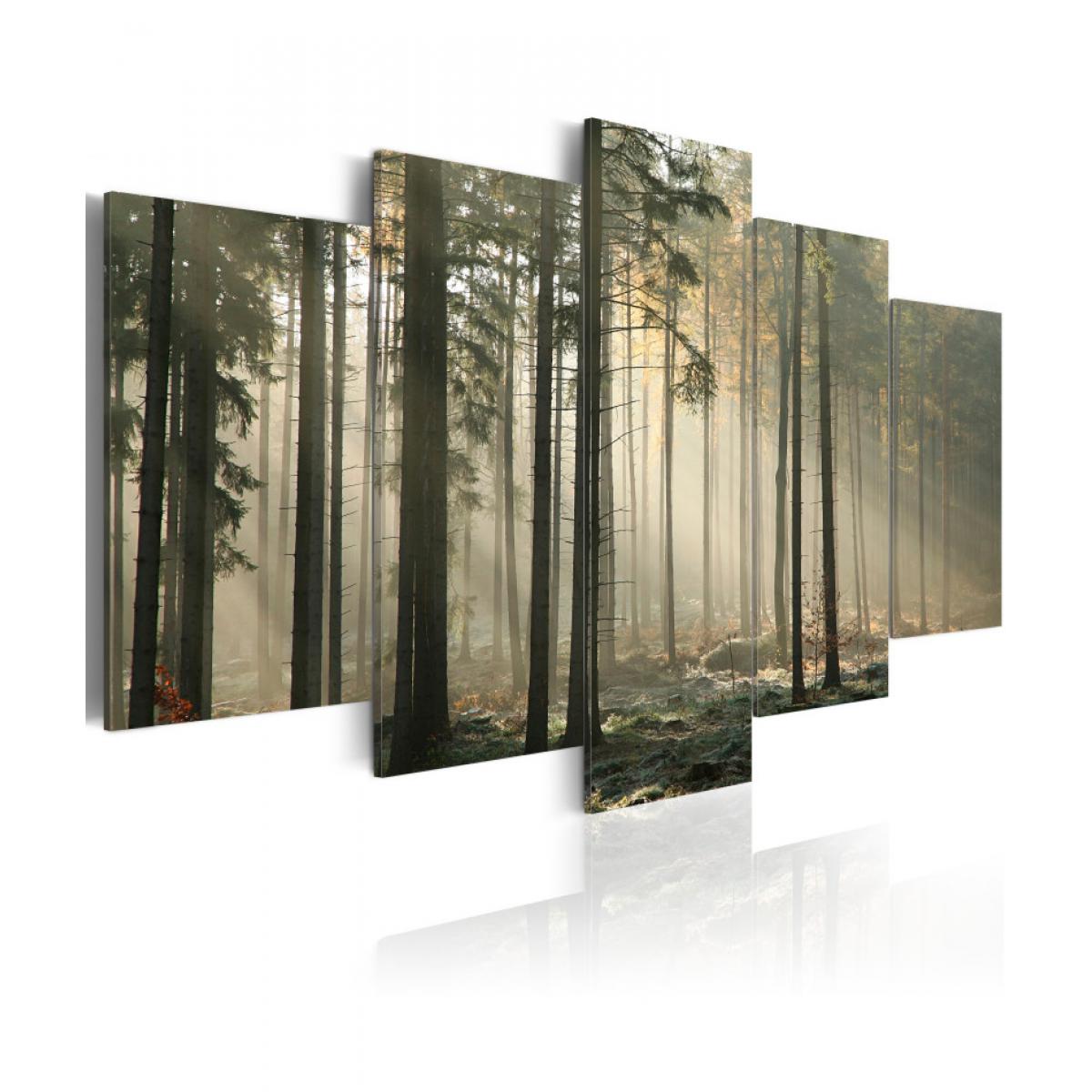 Artgeist - Tableau - Lumière dans une sombre forêt 100x50 - Tableaux, peintures