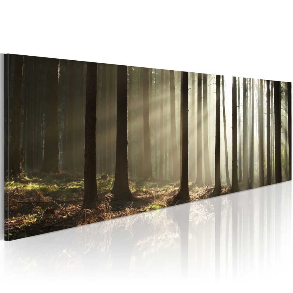 Bimago - Tableau | Canvas print | Morning in the woods | 120x40 | - Tableaux, peintures